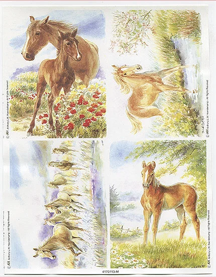 RP0702 Resztki Papieru Holenderskiego