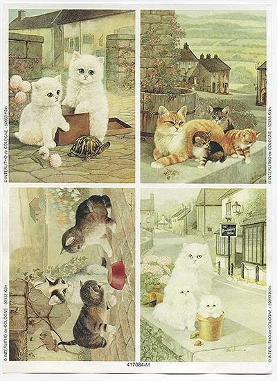 RP0709 Resztki Papieru Holenderskiego