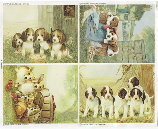 RP0719 Resztki Papieru Holenderskiego
