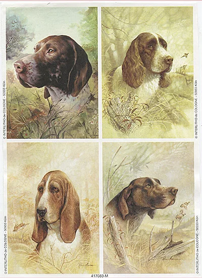 RP0720 Resztki Papieru Holenderskiego