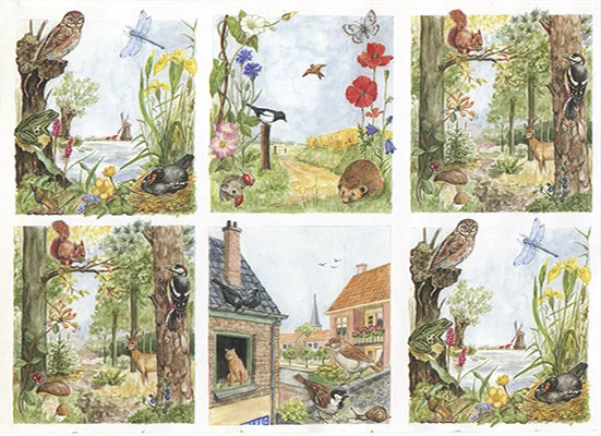 RP0721 Resztki Papieru Holenderskiego