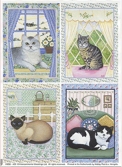 RP0722B Resztki Papieru Holenderskiego