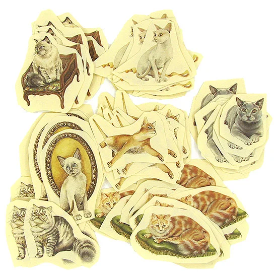 RP0734 Resztki Grubego Papieru Włoskiego