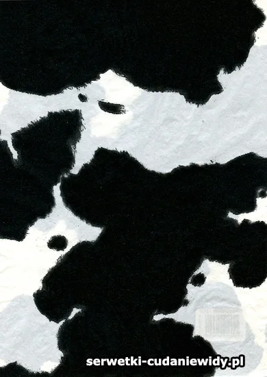 RT369 Papier Decopatch