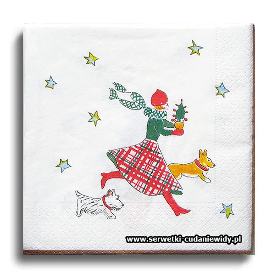9853-2 Paczka33X33Cm
