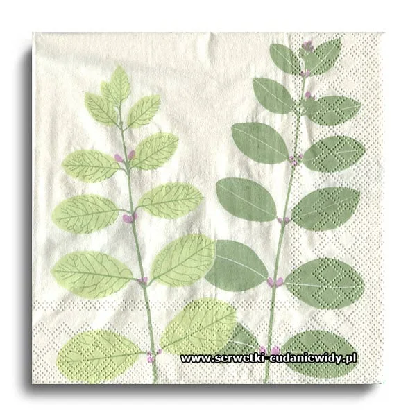 6469PACZKA-3 Leaves Green