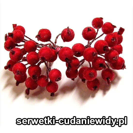 BK-01263 Wiązka Jarzębiny