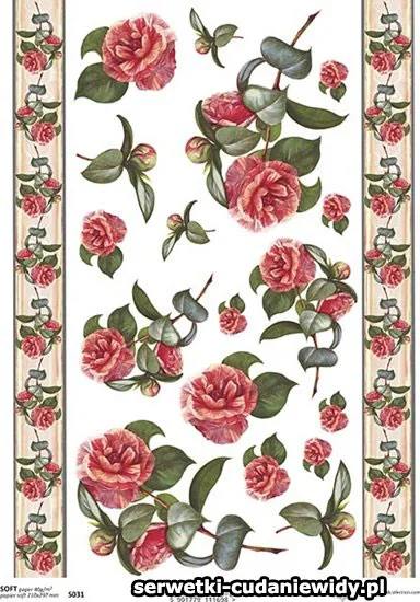 S031 Paper Soft Itd