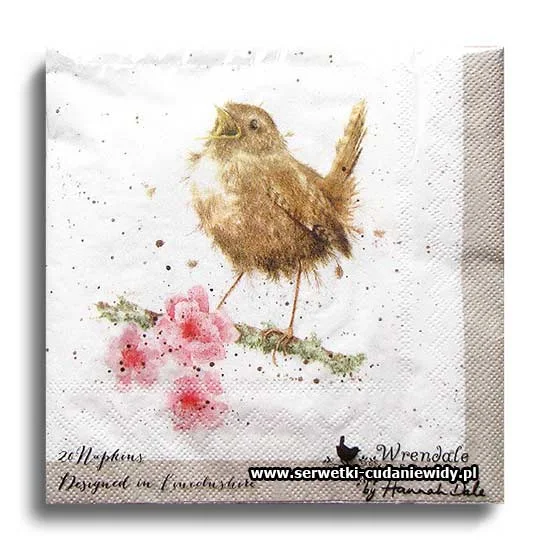 WRE010PACZKA Garden Birds