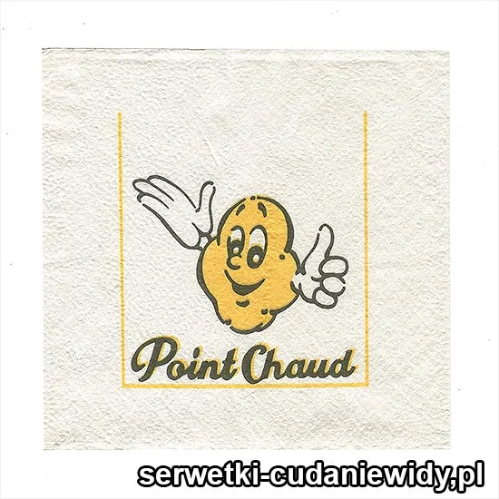 XSR0100 Serwetka Reklamowa