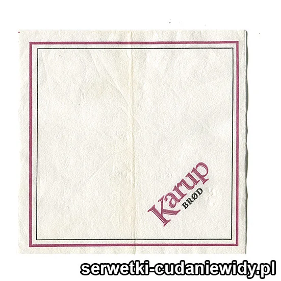 XSR0102 Serwetka Reklamowa