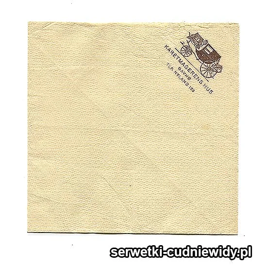 XSR0113 Serwetka Reklamowa
