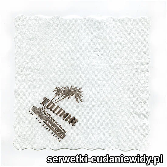 XSR0137 Serwetka Reklamowa