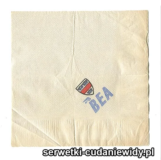 XSR0160 Serwetka Reklamowa