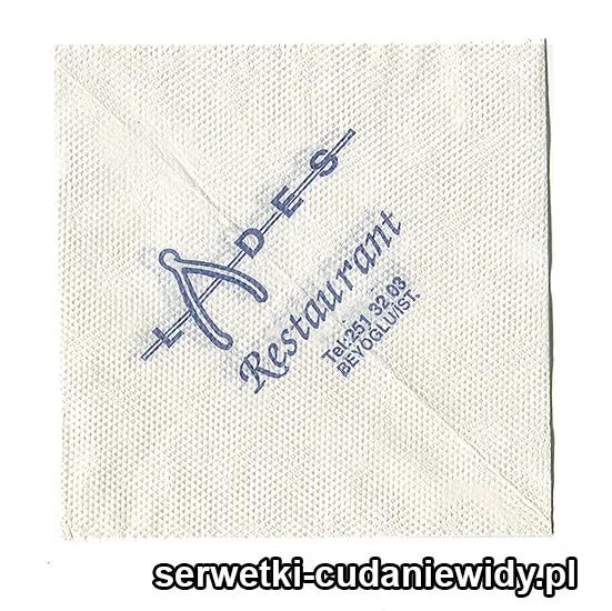 XSR0168 Serwetka Reklamowa