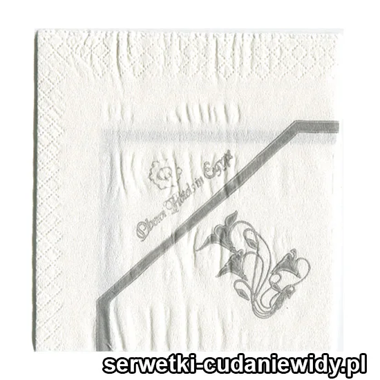 XSR0200 Serwetka Reklamowa