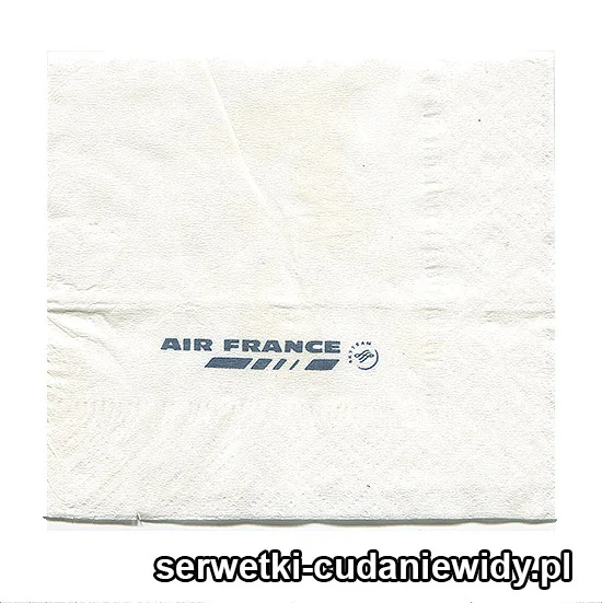 XSR0229 Serwetka Reklamowa
