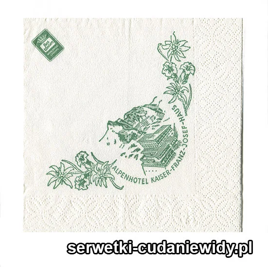 XSR0253 Serwetka Reklamowa