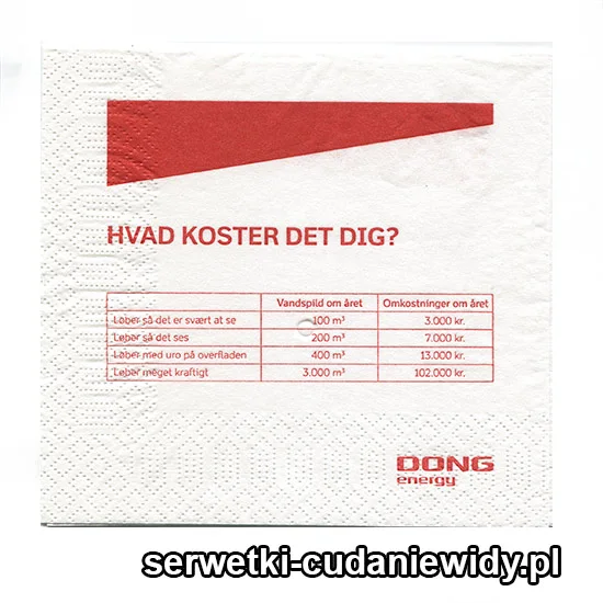 XSR0254 Serwetka Reklamowa