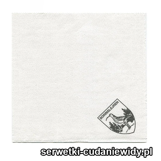XSR0259 Serwetka Reklamowa