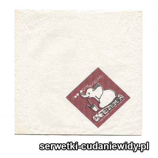 XSR0268 Serwetka Reklamowa