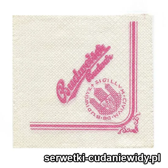 XSR0273 Serwetka Reklamowa