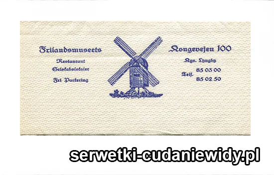 XSR0281 Serwetka Reklamowa