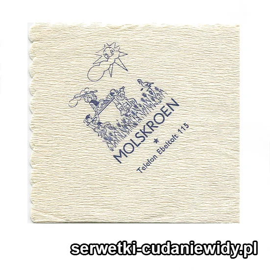 XSR0295 Serwetka Reklamowa