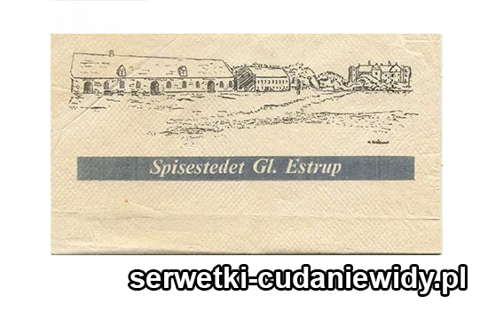 XSR0325 Serwetka Reklamowa