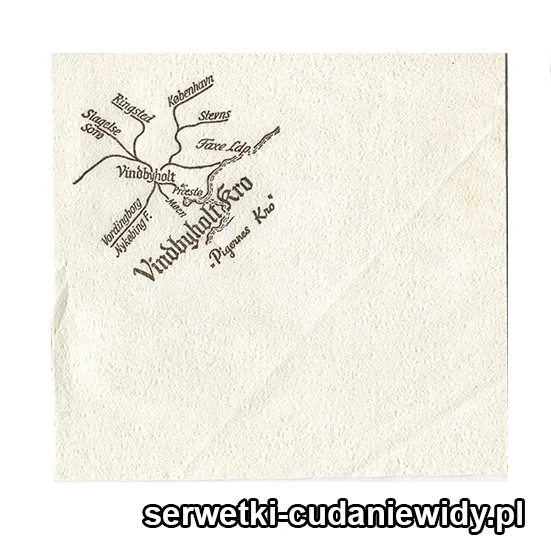 XSR0386 Serwetka Reklamowa