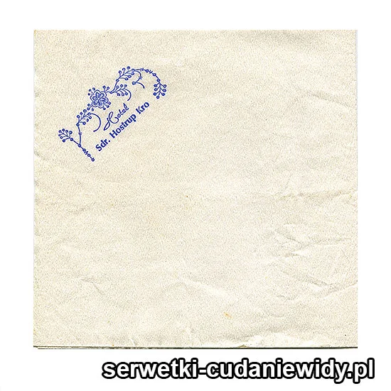 XSR0387 Serwetka Reklamowa