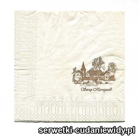 XSR0459 Serwetka Reklamowa