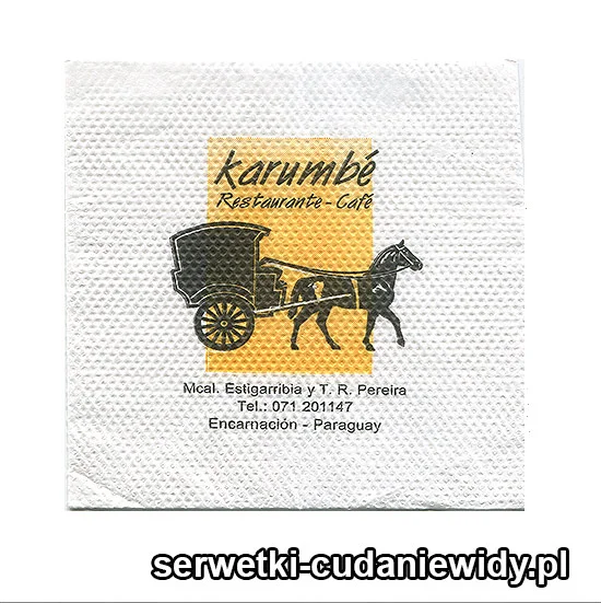 XSR0513 Serwetka Reklamowa