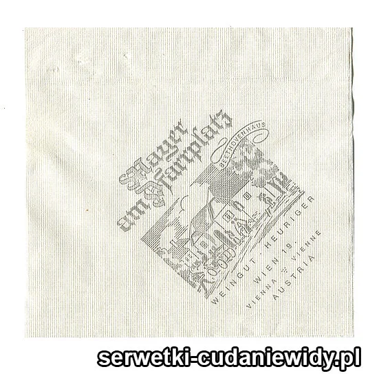 XSR0627 Serwetka Reklamowa