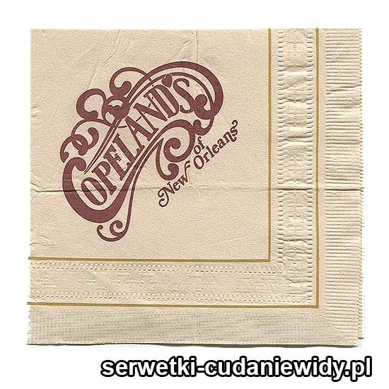 XSR0638 Serwetka Reklamowa