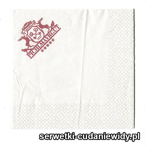 XSR0646 Serwetka Reklamowa