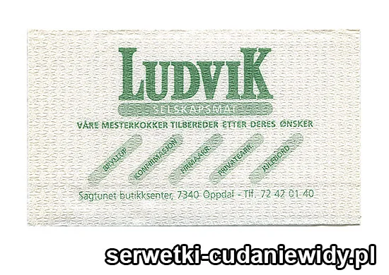 XSR0649 Serwetka Reklamowa