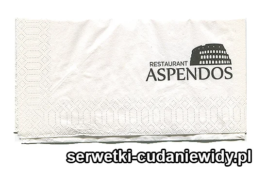 XSR0660 Serwetka Reklamowa