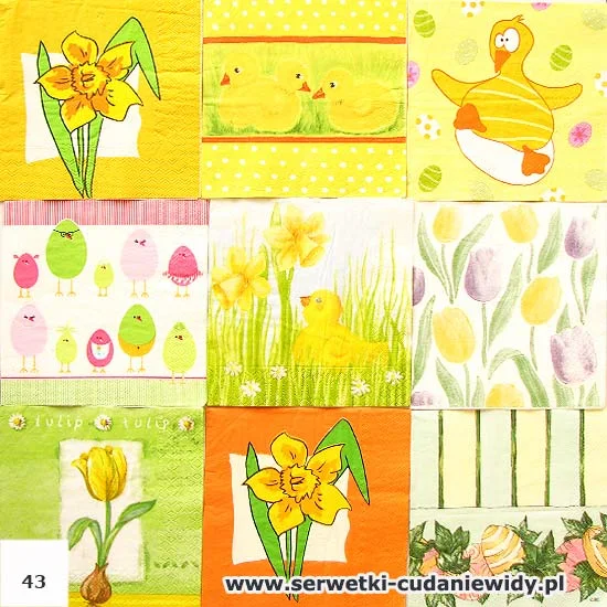 ZESTAW-NR.43 Zestaw Nr.43